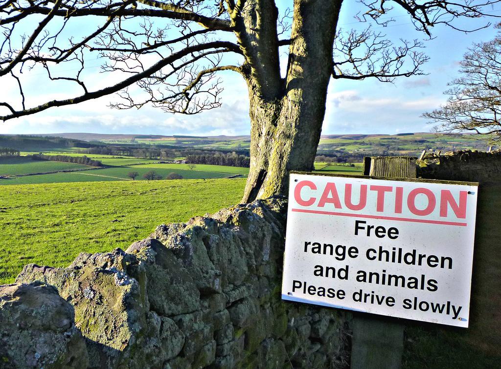 Bed and Breakfast Rye Hill Farm Hexham Exteriér fotografie