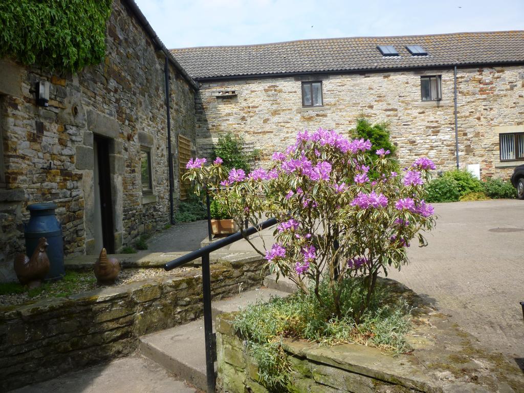 Bed and Breakfast Rye Hill Farm Hexham Exteriér fotografie