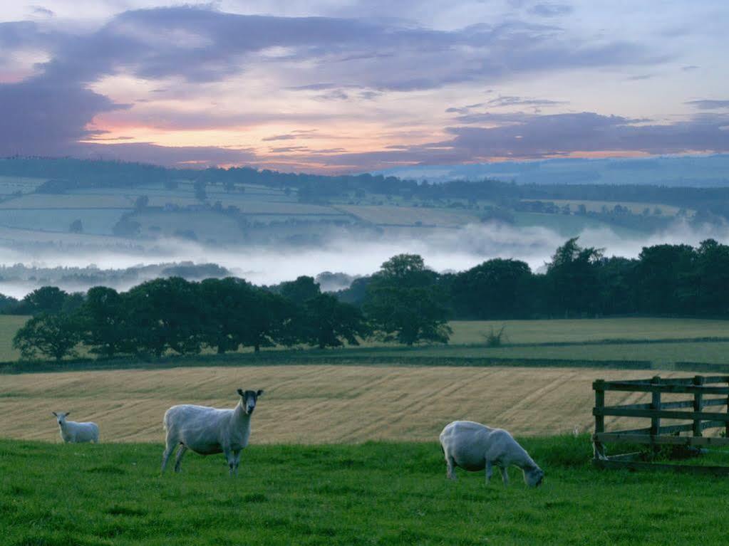 Bed and Breakfast Rye Hill Farm Hexham Exteriér fotografie